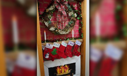 Christmas Doors and More!