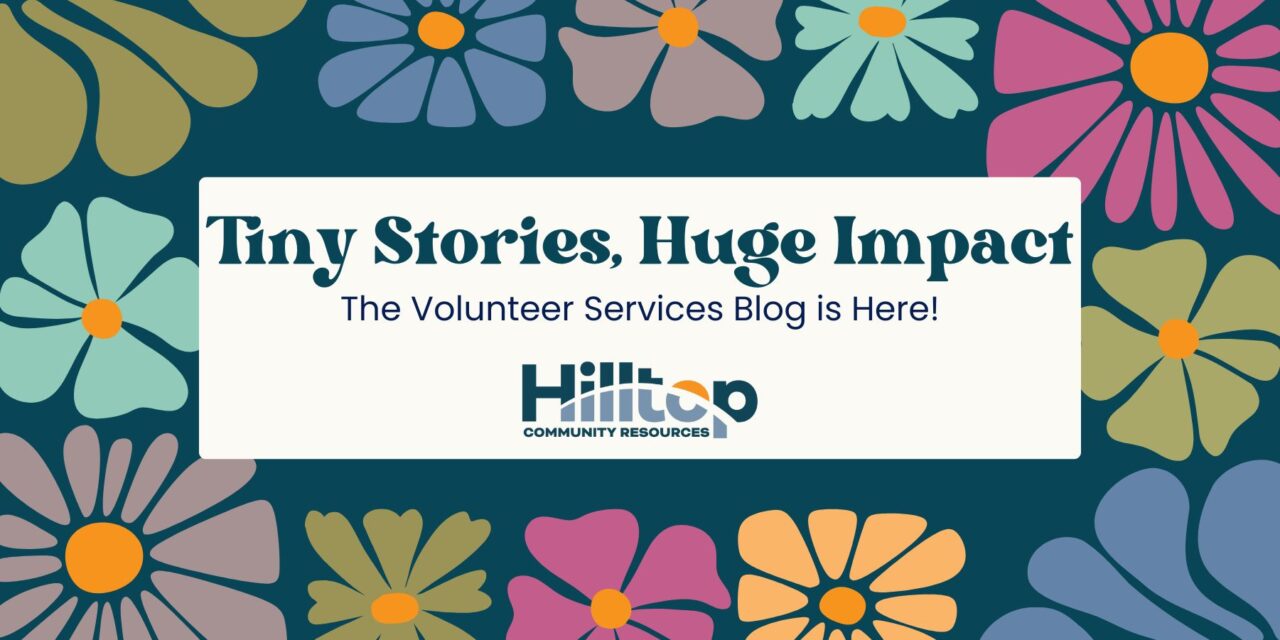 Tiny Stories, Huge Impact: Check out the Volunteer Services Blog!